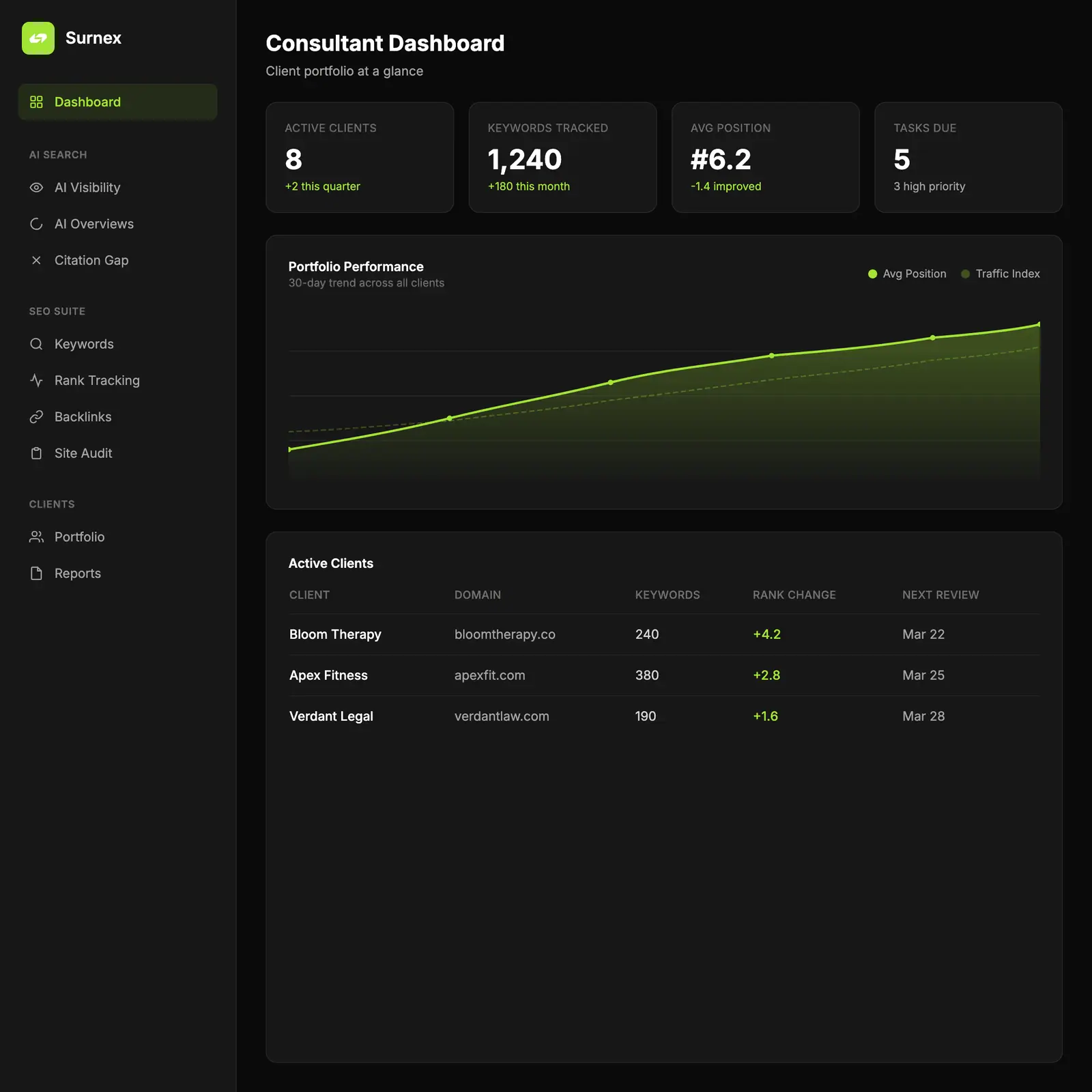 Surnex SEO Consultants dashboard
